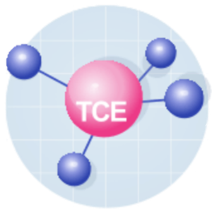 Logo Test de Conceptos Elementales Revisado (TCE-R)